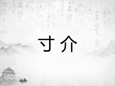 寸介