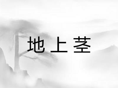 地上茎