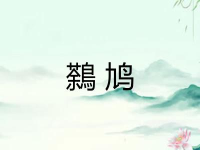鷋鸠