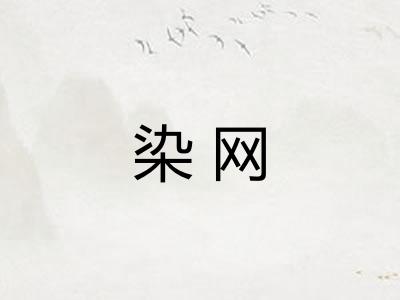 染网