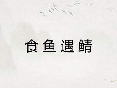 食鱼遇鲭