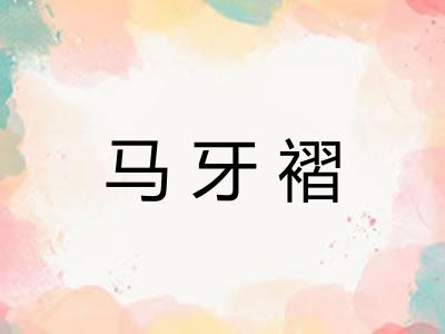 马牙褶