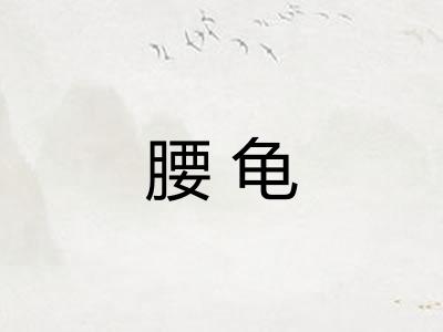 腰龟