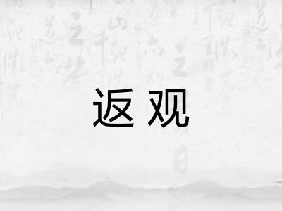 返观