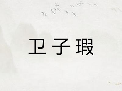 卫子瑕