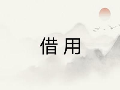 借用