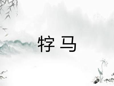 牸马