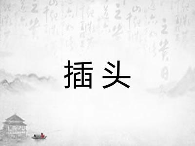插头