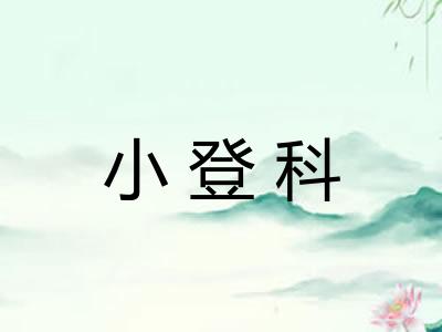 小登科
