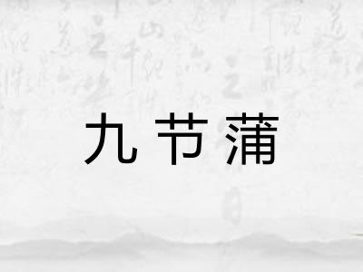 九节蒲