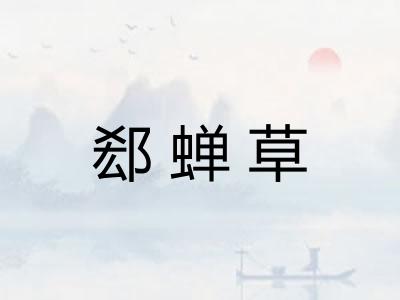 郄蝉草