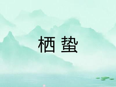 栖蛰