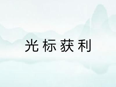 光标获利