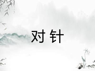 对针