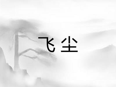 飞尘