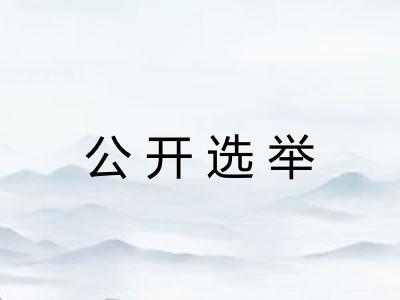公开选举