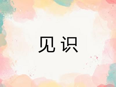 见识