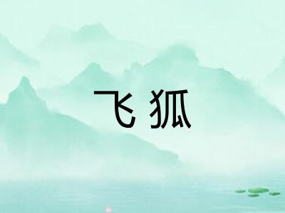飞狐