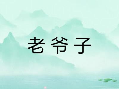 老爷子