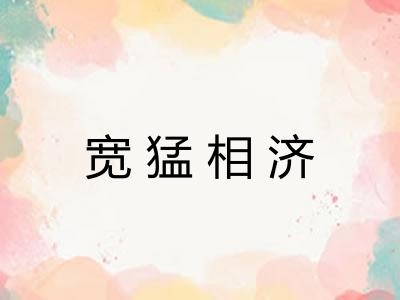 宽猛相济