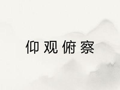 仰观俯察
