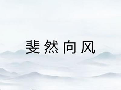 斐然向风