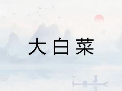 大白菜