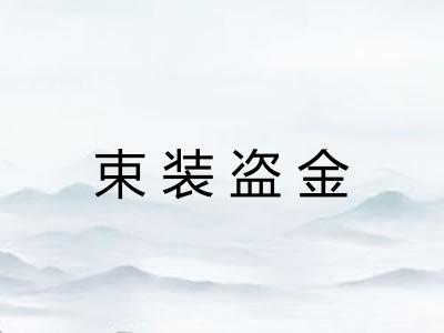 束装盗金