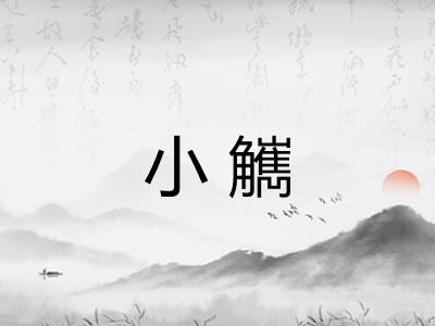小觽