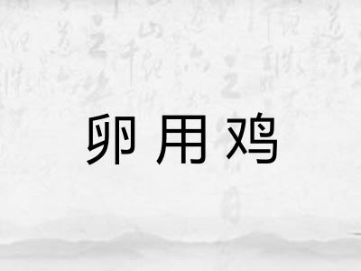 卵用鸡