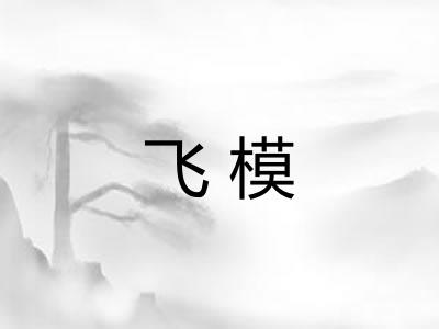 飞模