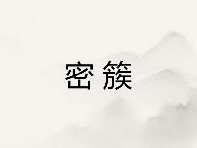 密簇
