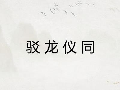 驳龙仪同