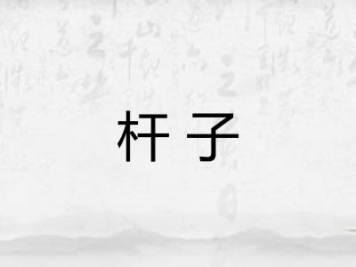 杆子