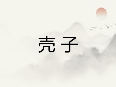 壳子
