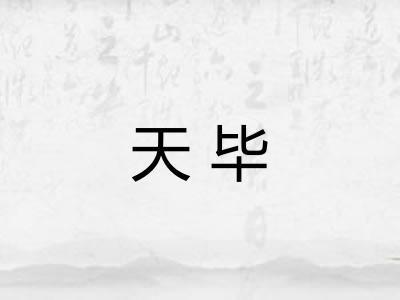 天毕