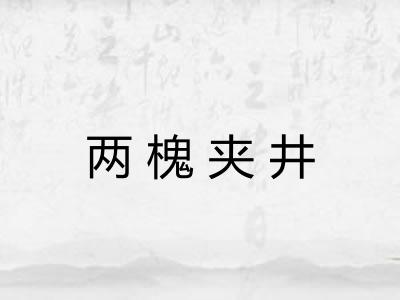 两槐夹井