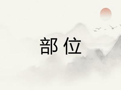 部位