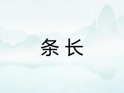 条长