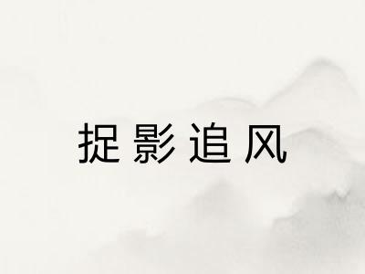 捉影追风