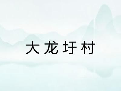 大龙圩村