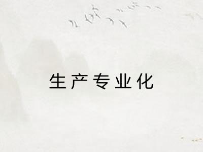 生产专业化