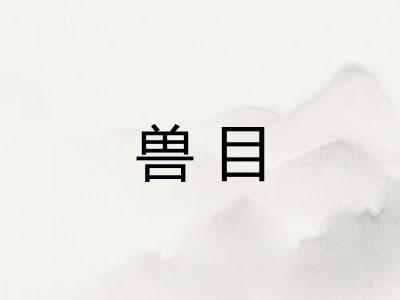 兽目
