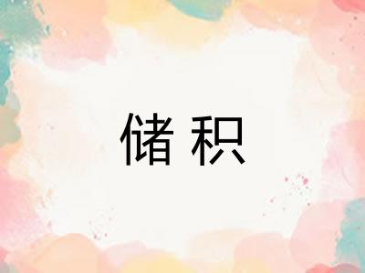储积