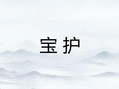 宝护