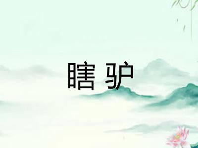 瞎驴