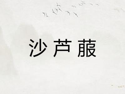 沙芦菔
