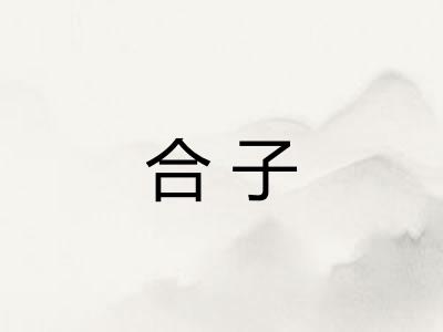合子