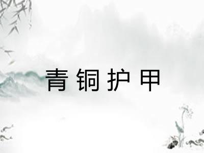 青铜护甲