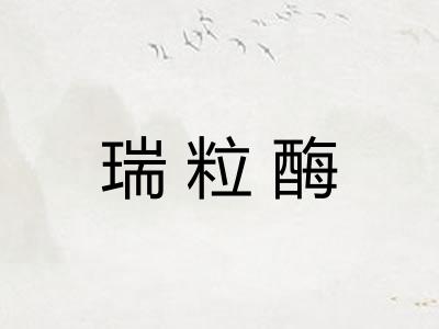 瑞粒酶